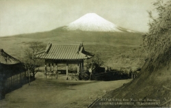 代表画像